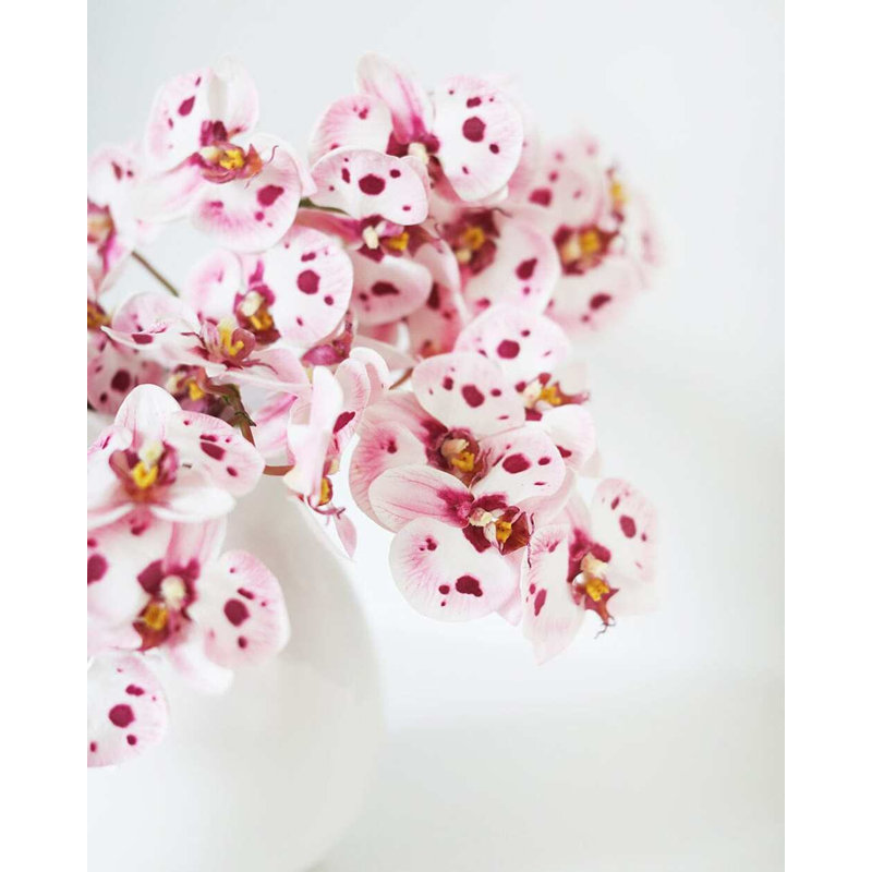Pink Spotted Phalaenopsis Orchid 22”, Pink, 22" H x 2" W