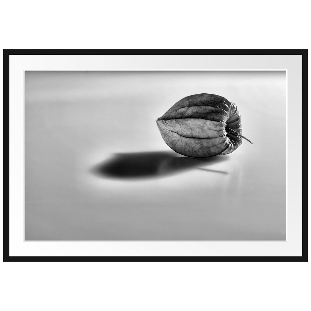 Gerahmtes Poster Kleine Physalis