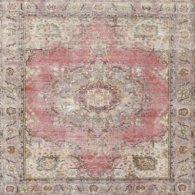 Oriental Indoor Rug