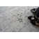 Cambridge Oriental Area Rug