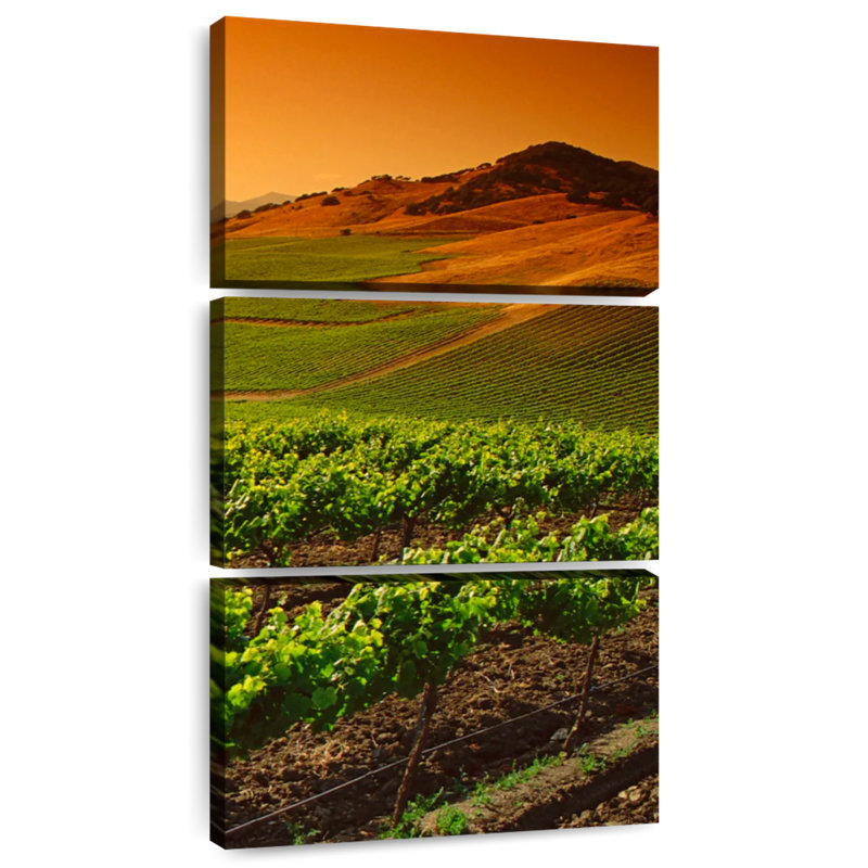 Carneros Vineyard Twilight, H 27 po x l 12 po