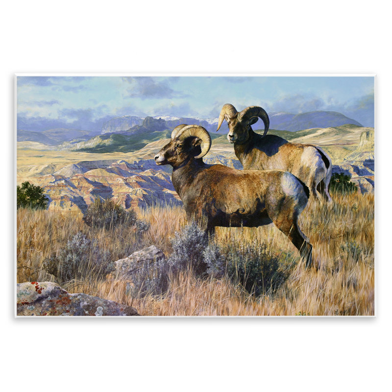  «Wild Rams Torrey Canyon» par Mark Kelso, H 13 po x l 19 po