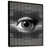 Black Floater Framed selected
