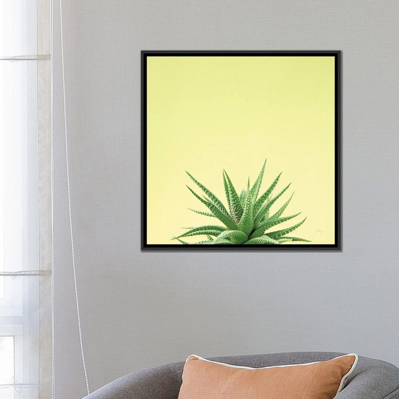 «Succulent Simplicity I», impression sur toile, H 18 po x l 18 po x P 1,5 po, Toile encadrée noire, Pas de tapis