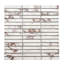 Carreau de mosaïque en porcelaine pour plancher et mur 1 "x 3" Viola