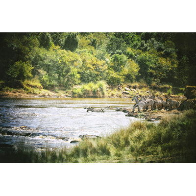 African Plains VIII - Photograph