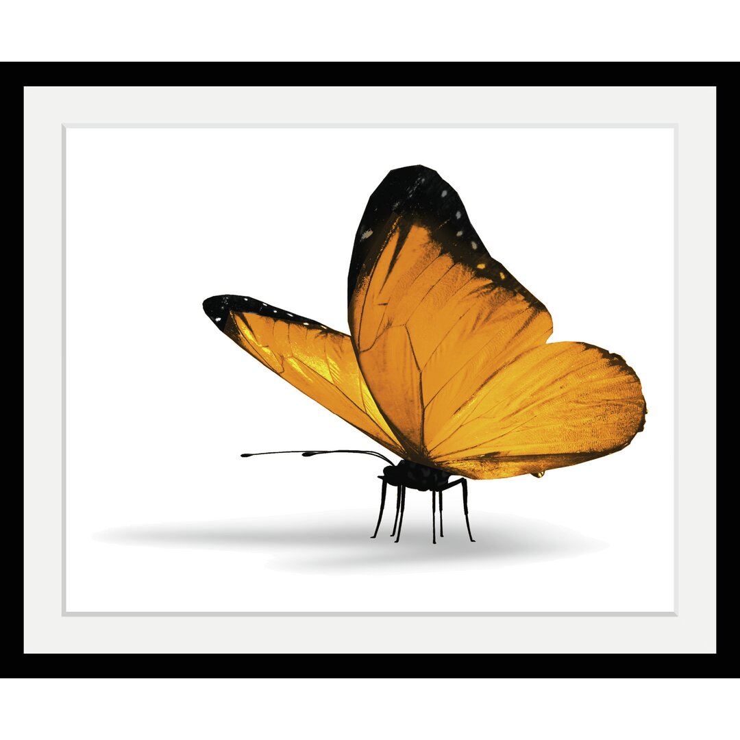 Gerahmtes Poster „Butterfly“, Grafikdruck