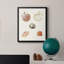 Toile encadrée Pastel Knorr Shells-1932138127-1932138123