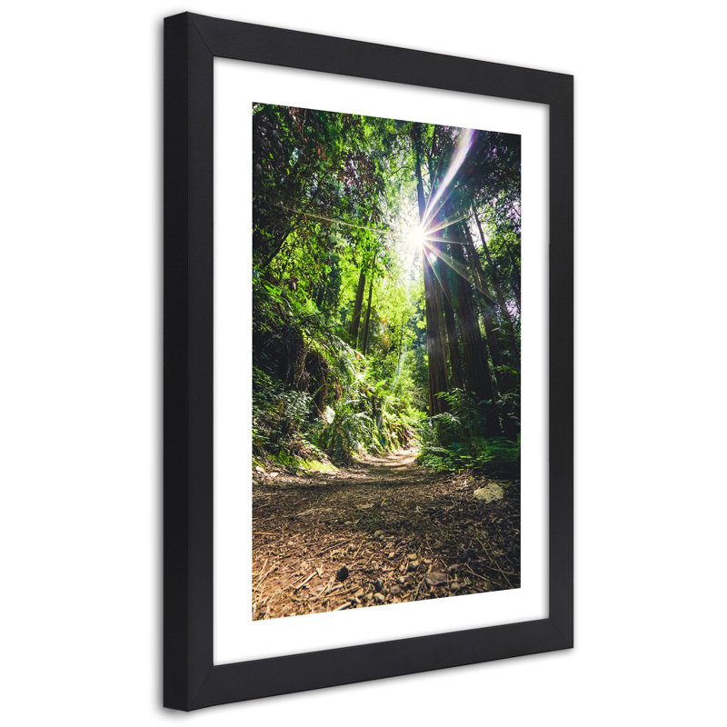 Jungle Forest Nature Green - Single Picture Frame Print, 45cm H x 30cm W, Black