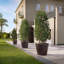 Classico Pot Planter-60539206