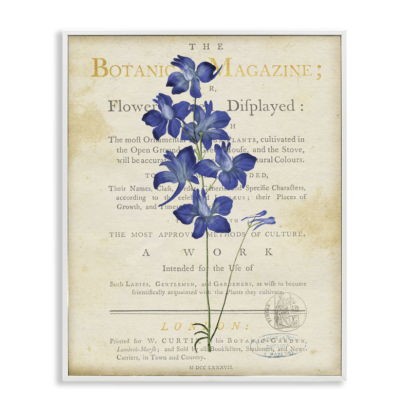 Giclée naturelle de jardin botanique naturel, design par Susan Arnot, Encadrement giclée blanc côtier, H 20 po x l 16 po