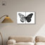 «Duality of a Monarch III», reproduction d'art acrylique encadrée par Art Remedy, cadre argenté, 30 x 20-791031264-791031285