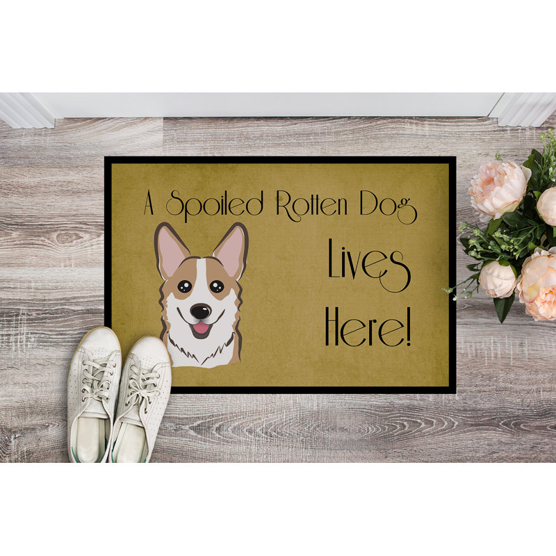 Tapis de porte d’extérieur anti-dérapant pour chien corgi, Rectangle 2 pi x 3 pi, Sable