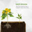 Westbury Raised Garden Bed, Wooden Planter Box-20397589