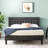 Zinus Select Tufted Upholstered Low Profile Platform Bed-1331502883-1246428985