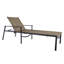 Marin Outdoor Chaise Lounge-970408064-970369170