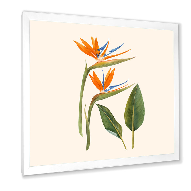 Fleurs de strelitzia rétro - impression sur toile, H 16 po x l 16 po x P 1 po, Cadre photo blanc