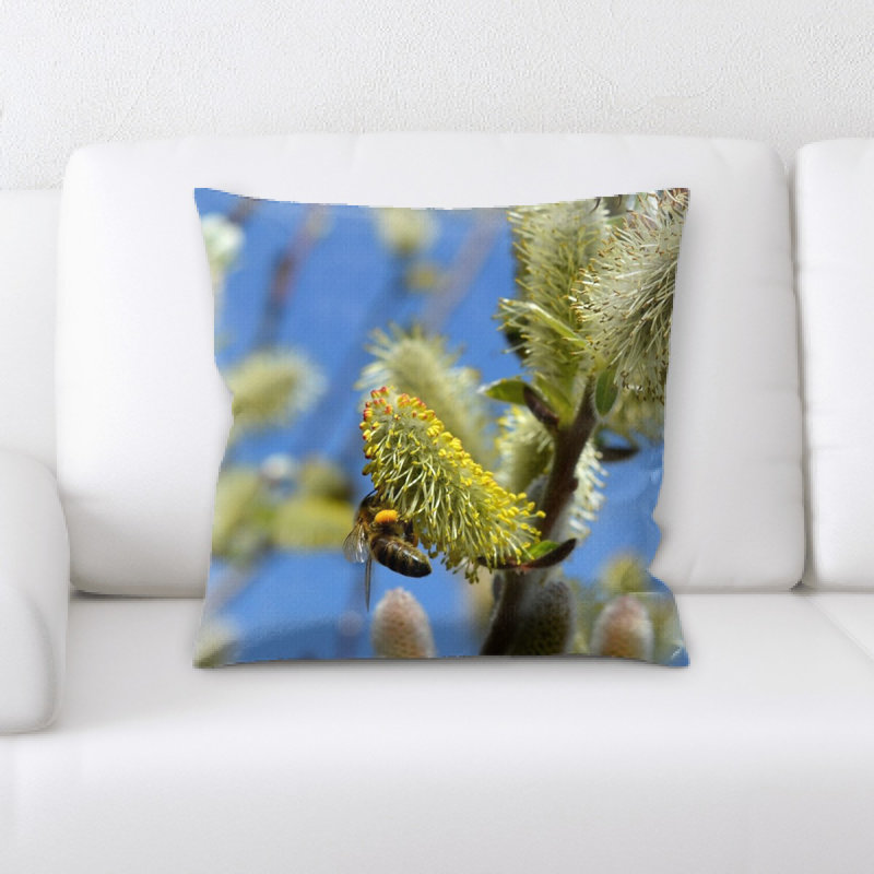 Coussin willow catkin