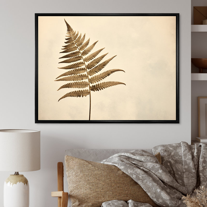 " Beige Ferns Plant Timeless Elegance II ", H 30 po x l 40 po x P 1,5 po, Cadre flottant noir