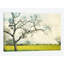 Reproduction de photo sur toile-72802792-72802793-72802794