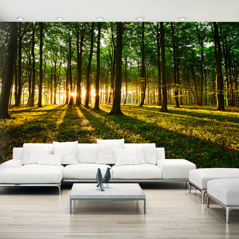 Murale Feeko Spring Morning in the Forest, L 124 po x l 173 po, Vert
