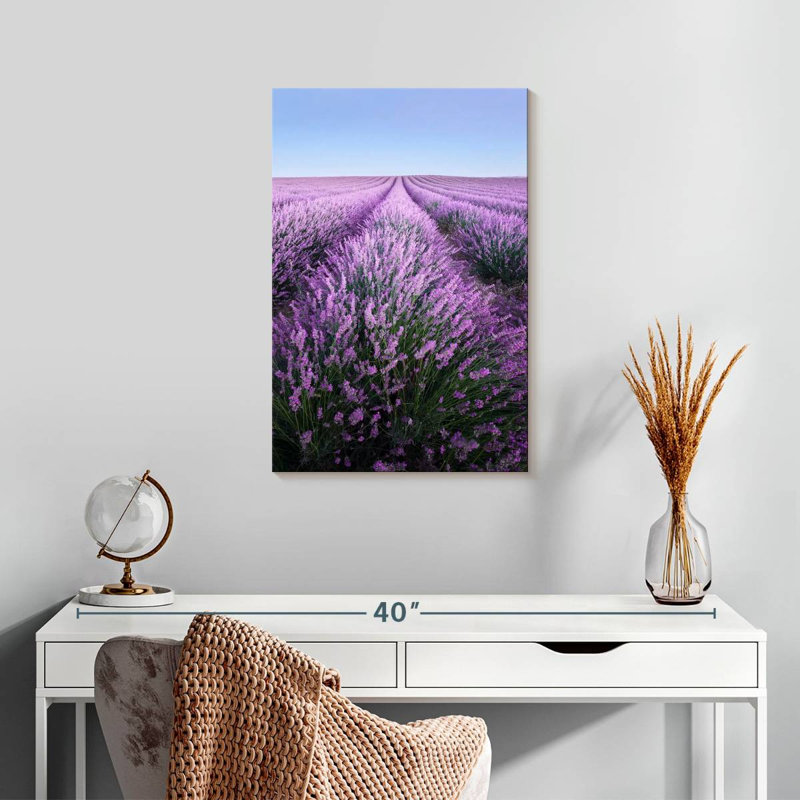 Lavande française Alvord Provence, H 24 po x l 16 po