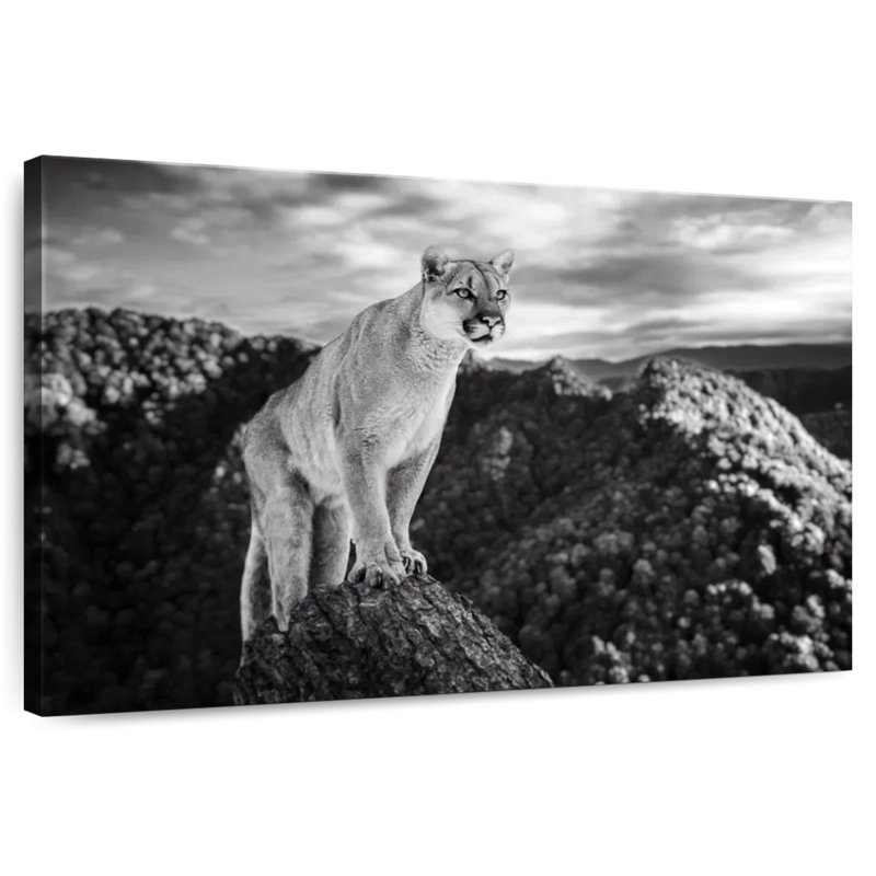 Cougar sur le sommet d'une montagne, H 20 po x l 30 po