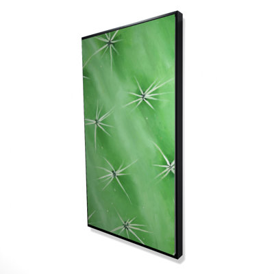 Cactus closeup - 24"x48" Framed canvas