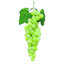 Grappe de raisin Grasmere-29363610-29691937