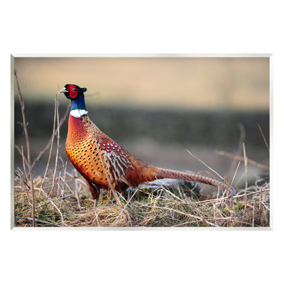 «Lone Pheasant Bird Grassy Forest Floor» par James Dobson - photographie sur panneau de fibres à densité moyenne