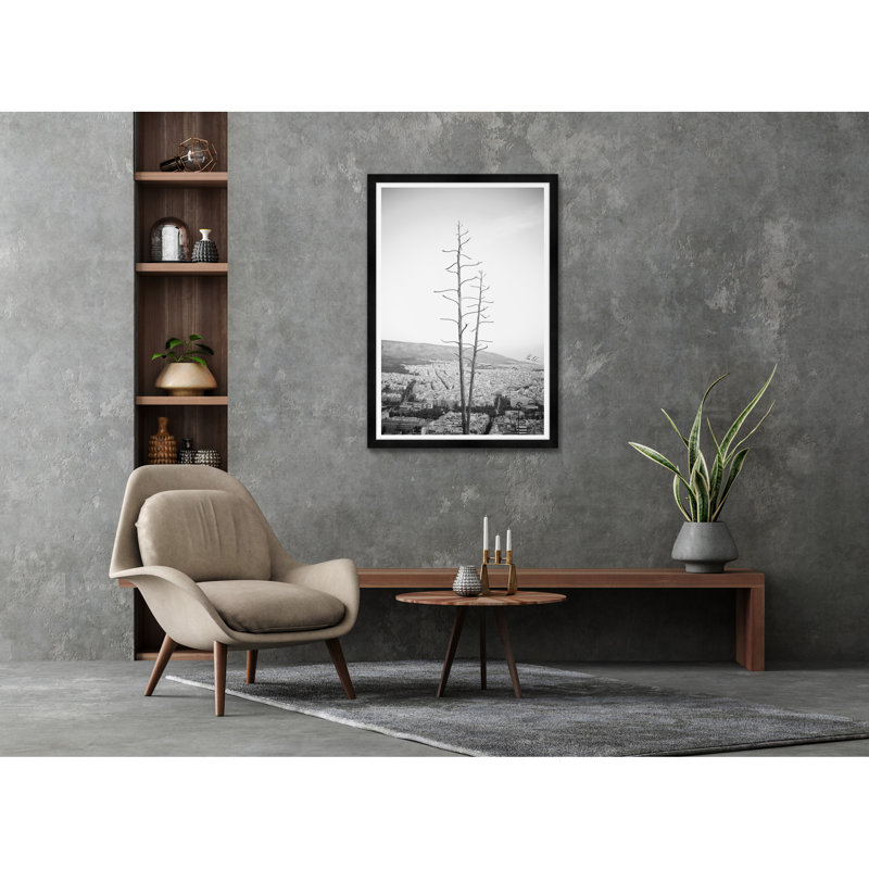 Agave sur les hauteurs d'Athènes III en noir et blanc, H 42 po x l 29 po x P 1,5 po, Noir
