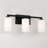 Ravenwood 3 - Light Dimmable Vanity Light-572884595
