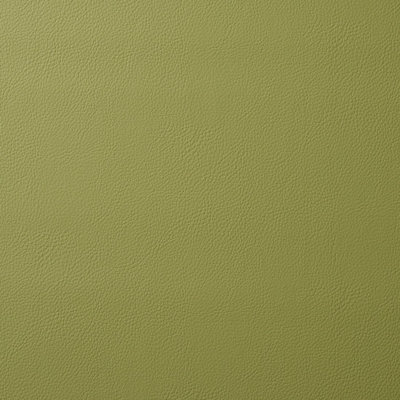 Vegan Leather Indoor/Outdoor Fabric