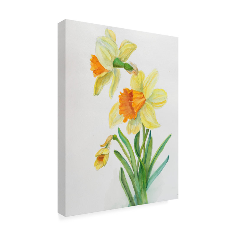 «Botanical Collection Daffodils» par Joanne Porter - peinture sur toile tendue, H 19 po x l 14 po