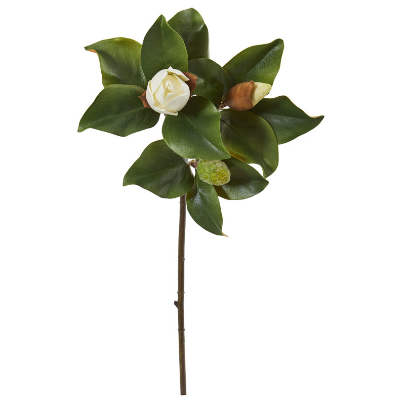 Magnolia Arrangement