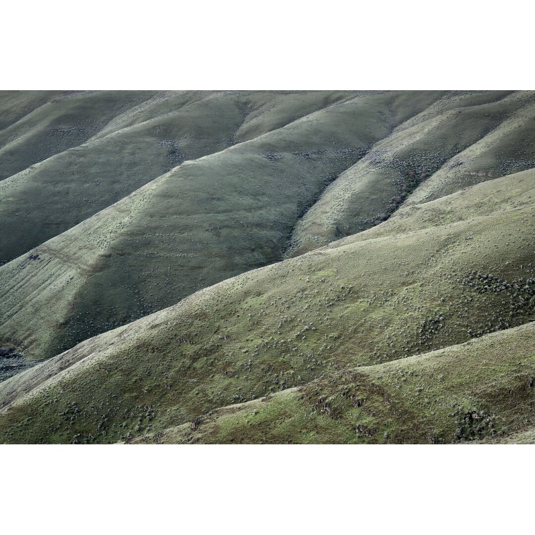 Leinwandbild Columbia Plateau Oregon von Alan Majchrowicz