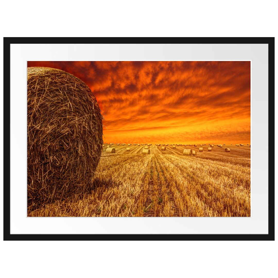 Gerahmtes Poster Feld im Sonnenuntergang