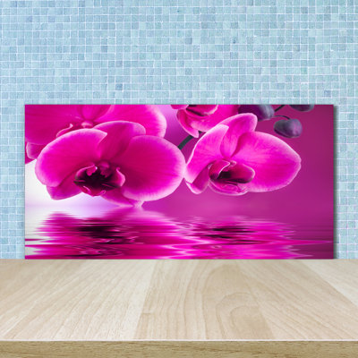 Aletra Flowers And Plants - Pink - Orchid - No Frame Print on Glass