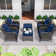 Anahit 6-Piece Wicker Outdoor Seating Group with Cushions