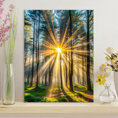 Wrapped Canvas Print