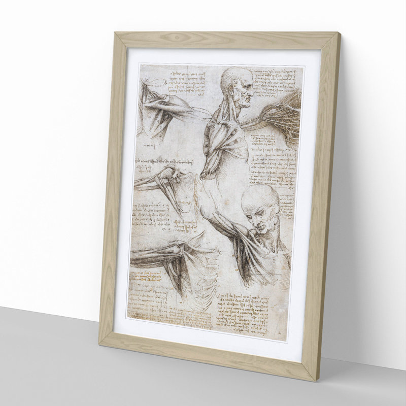Human Anatomy Vol.3 by Leonardo Da Vinci - Framed Print, Oak Framed, 65cm H x 48cm W x 2cm D