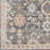 Daison Viscose Oriental Indoor Rug