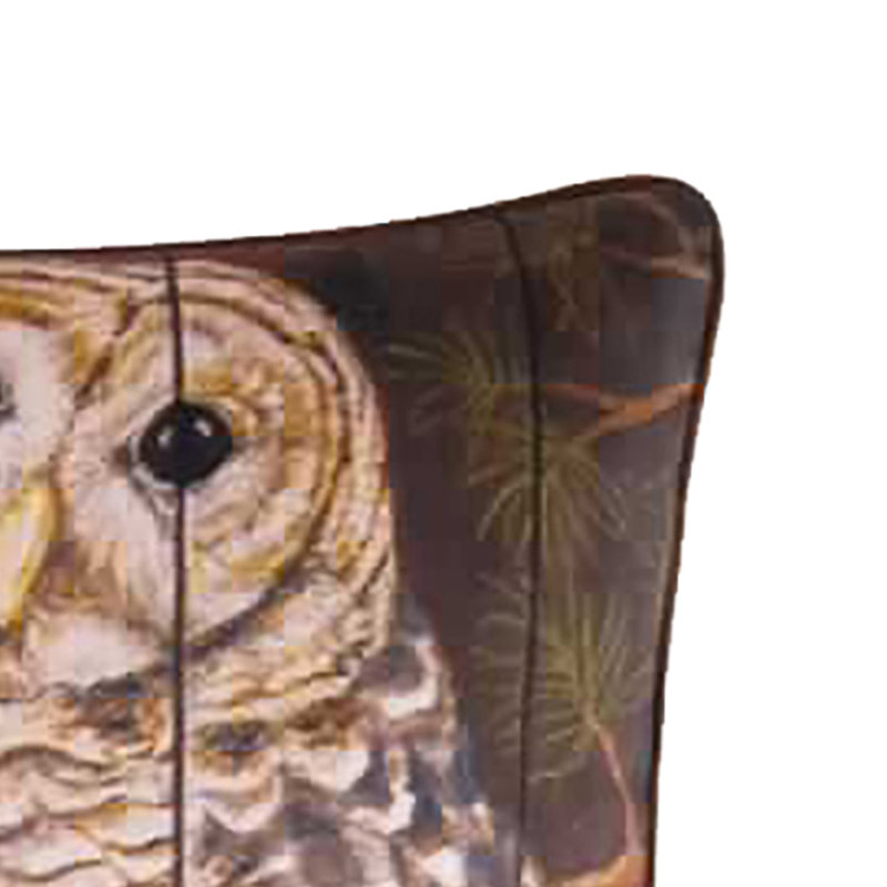 Owl Digital Print Throw Pillow