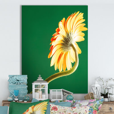 " Tall Bright Flowers II "