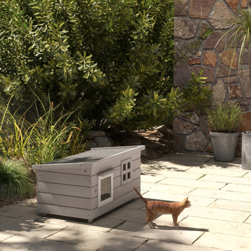 Cat House