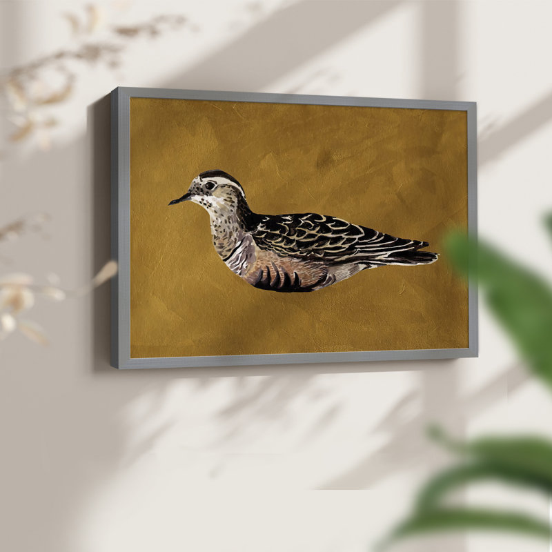 «Feathered Friend I», reproduction encadrée, Gris, H 16 po x l 20 po