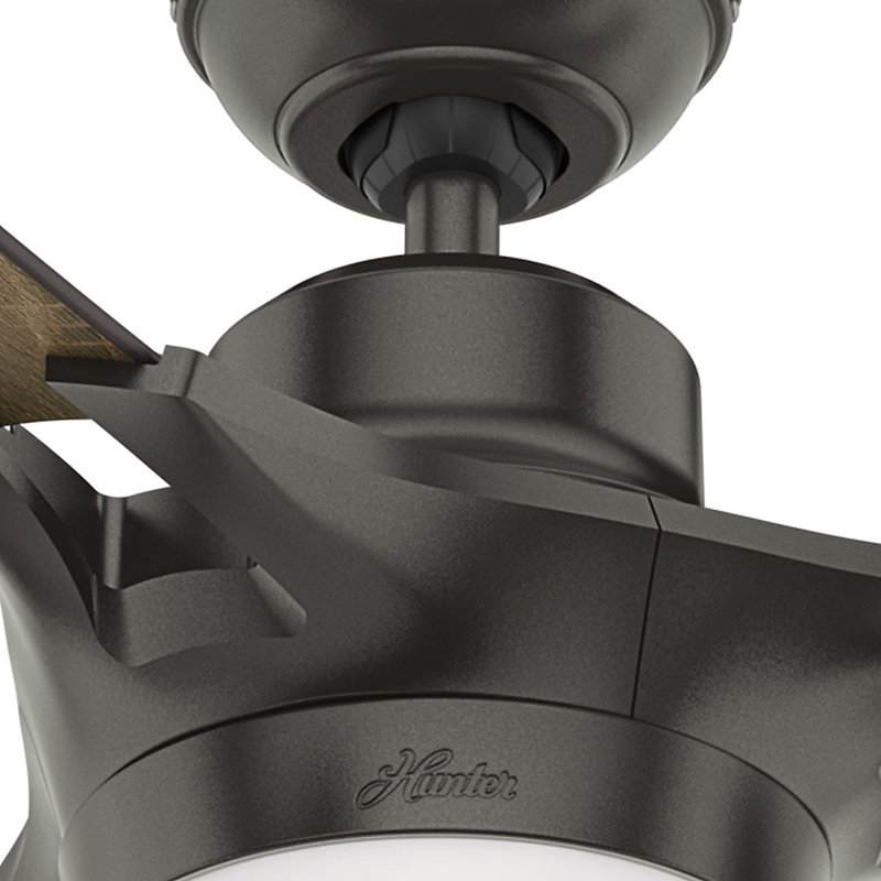 Ventilateur de plafond standard à 54 pales 54 po avec télécommande et éclairage inclus