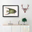 Angel Fish by Mark Catesby - Single Picture Frame Painting-55545177-55545178