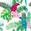 Knizair Matte Mural-348398904