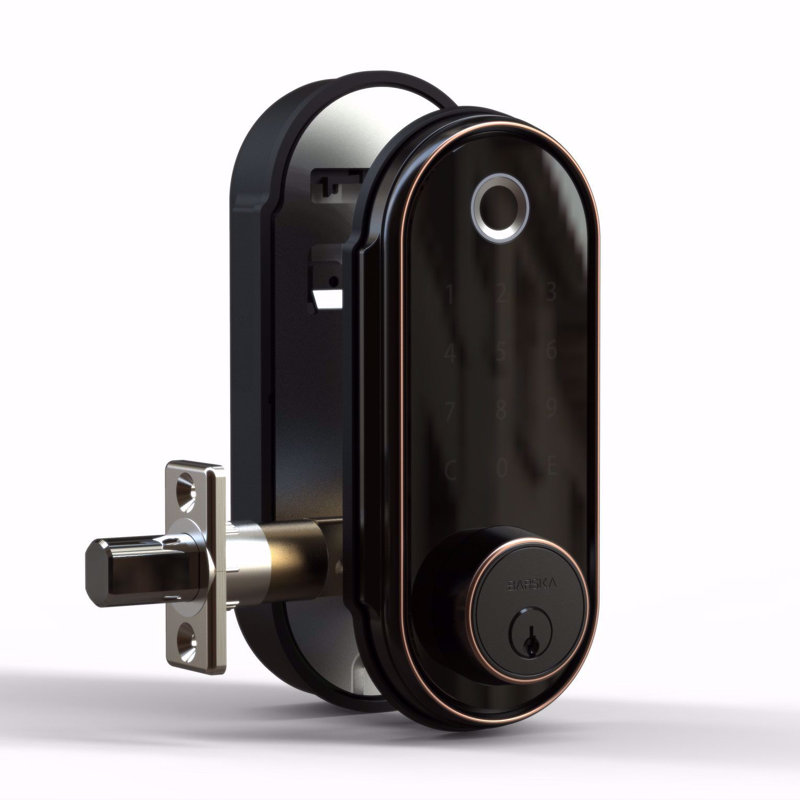 Black Digital Fingerprint Biometric Keypad Door Lock